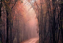 谁尴尬?英超6队出征4胜 曼联平热刺负浪费了欧联好签.