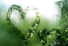 雷火电竞官网:中超-武磊帽子戏法 海港3-1大胜浙江豪取10连胜.