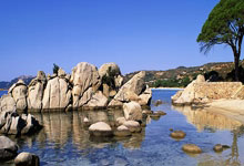 雷火电竞官网:德雷森:孔帕尼非常器重格雷茨卡;基米希是领袖球员.